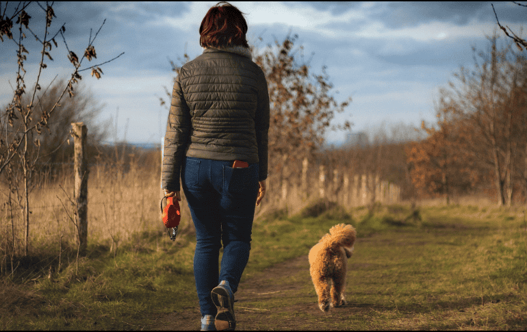 Caminar de manera regular, puede ser beneficioso para el cuerpo. Pixabay