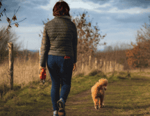 Caminar de manera regular, puede ser beneficioso para el cuerpo. Pixabay