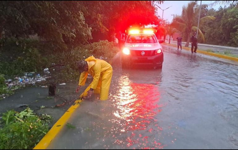 La CFE informó que 144 mil 142 usuarios fueron afectados por cortes de luz, de los cuales 94% ya tenía el servicio restablecido hasta la noche de este miércoles. ESPECIAL / GOBIERNO DE QUINTANA ROO