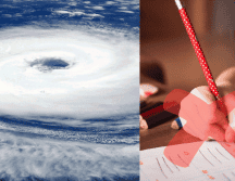 La Secretaría de Educación Pública (SEP) ha anunciado la suspensión de clases en algunos estados de la República Mexicana. ESPECIAL/Imagen de Welcome to All ! ツ en Pixabay/Imagen de free stock photos from www.picjumbo.com en Pixabay