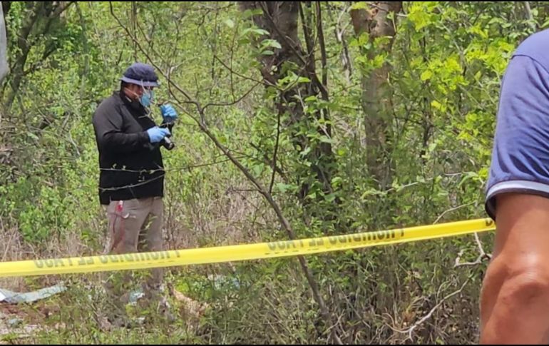 Se registraron cuatro nuevos asesinatos en diversos puntos. ESPECIAL