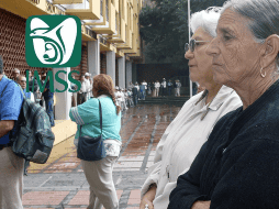 Ambas modalidades comparten ciertos requisitos. EL INFORMADOR / ARCHIVO