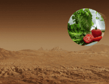 Marte es el segundo planeta más pequeño del Sistema Solar. Pixabay