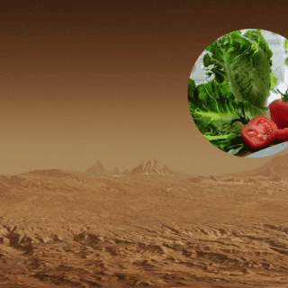 Científicos logran cultivar vegetales en un entorno parecido al de Marte