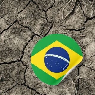 El mayor humedal del mundo enfrenta su peor sequía histórica en 70 años