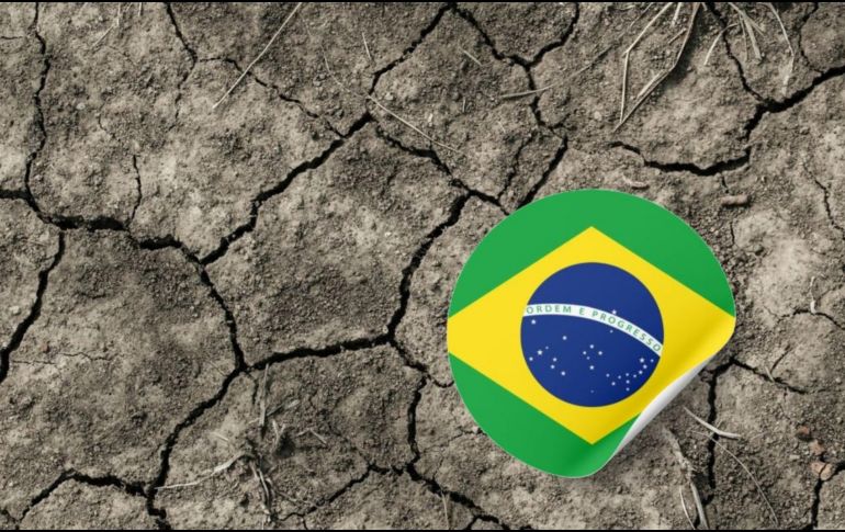 El Pantanal es la mayor área del mundo con mayor biodiversidad. UNSPLASH / M. Correa / BRASIL