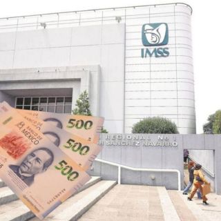 Prohíben a trabajadores del IMSS recibir doble pensión