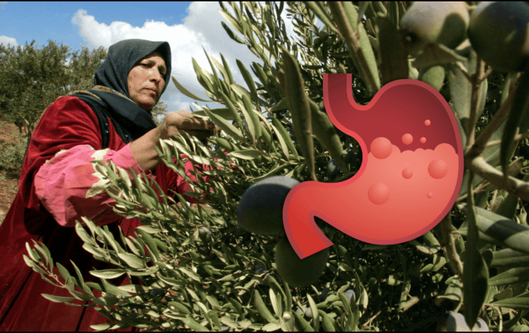 La infusión alivia la irritación del revestimiento gástrico, lo que resulta fundamental para aquellos que sufren de gastritis o están en riesgo de desarrollar úlceras pépticas. AP / ARCHIVO