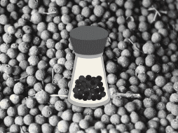 La piperina no solo es un antioxidante, sino que también actúa como un analgésico natural. EL INFORMADOR / ARCHIVO