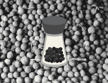 La piperina no solo es un antioxidante, sino que también actúa como un analgésico natural. EL INFORMADOR / ARCHIVO