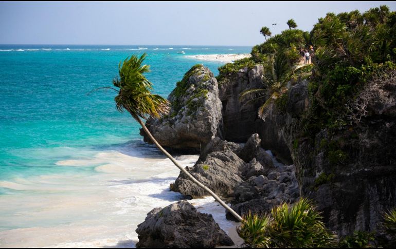 Estas son las mejores cinco, así como las razones de por qué son tan especiales. UNSPLASH / T. COTOAGA