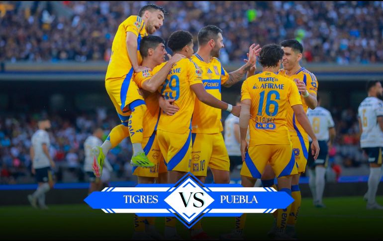 Tigres registra un torneo bueno, con 21 unidades de 30 posibles. IMAGO7