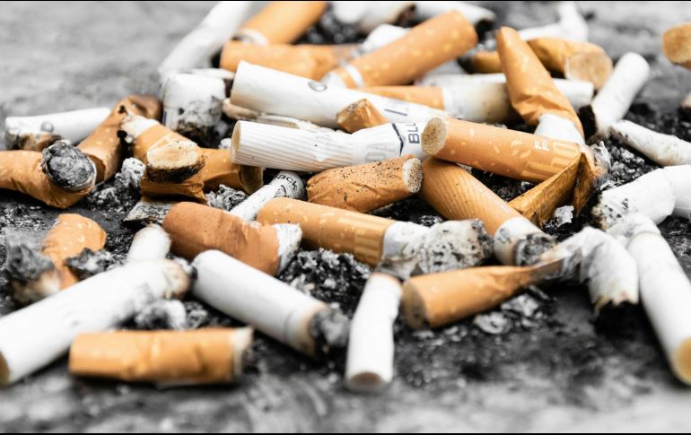 Las plantas medicinales ofrecen un enfoque natural que complementa los métodos convencionales.  ESPECIAL/ Foto de Pawel Czerwinski en Unsplash