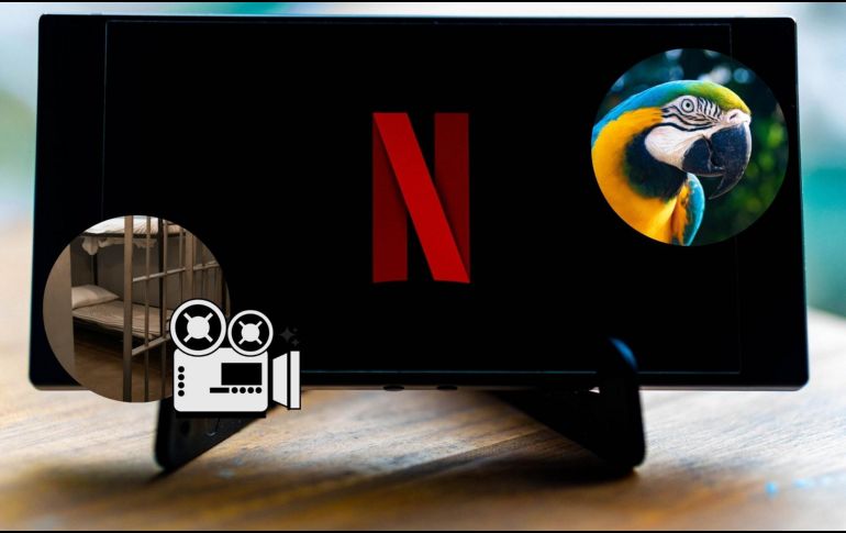 Netflix, ofrece una amplia variedad de documentales que exploran temas y perspectivas complejos. ESPECIAL / CANVA / PIXABAY