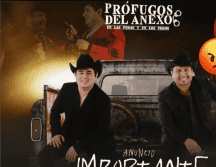 La Profeco recordó que los afectados que tienen derecho a solicitar el reembolso de sus boletos. ESPECIAL/INSTAGRAM/lospasosdejulion.