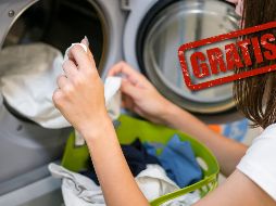 Este programa será financiado con recursos estatales y será gratuito. FREEPIK