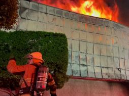El Fiscal Estatal reconoció que hay características similares en los incendios que han ocurrido en los últimos días, por lo que no descartó que pueda existir una relación entre ellos. ESPECIAL / Protección Civil Jalisco