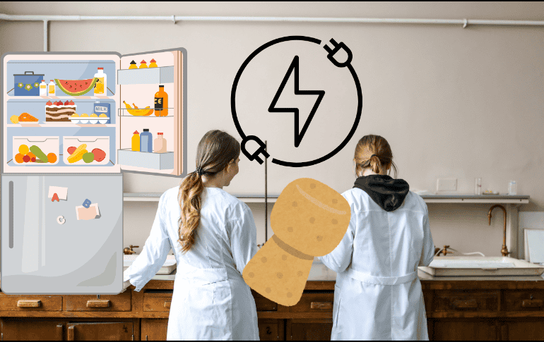 Este sencillo truco revelado por Harvard te ayudará no sólo a ahorrar luz y dinero, sino que también tiene otros beneficios; conócelos. CANVA/ ESPECIAL