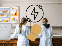 Este sencillo truco revelado por Harvard te ayudará no sólo a ahorrar luz y dinero, sino que también tiene otros beneficios; conócelos. CANVA/ ESPECIAL