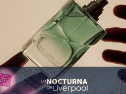 A través de liverpool.com.mx podrás encontrar increíbles descuentos durante las 24 horas del día. CANVA/LIVERPOOL