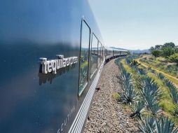 Recorre los paisajes agaveros en la ruta de Guadalajara a Tequila. ESPECIAL