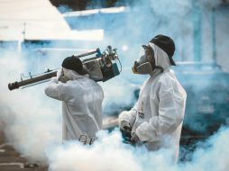 El ciclo natural de vida del mosquito llegaría hasta noviembre, por lo que las brigadas de fumigación se mantienen. EL INFORMADOR/ Archivo