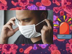 El virus de Marburgo representa una grave amenaza para la salud pública, y su reconocimiento temprano de síntomas es crucial para salvar vidas. CANVA