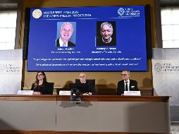 Hopfield realiza su investigación en la Universidad de Princeton, mientras que Hinton trabaja en la Universidad de Toronto. AP/TT News Agency/C. Olsson