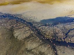 La reducción del agua disponible ha tenido un impacto en la navegación fluvial de diferentes partes del mundo. PEXELS