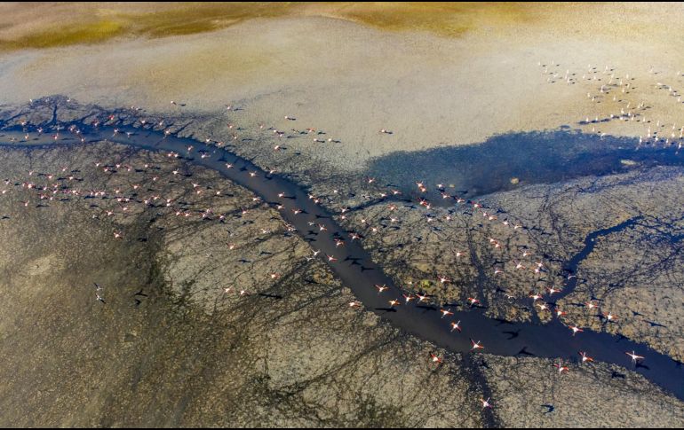 La reducción del agua disponible ha tenido un impacto en la navegación fluvial de diferentes partes del mundo. PEXELS