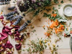 La planta tiene potentes propiedades antioxidantes que ayudan a prevenir el daño celular causado por los radicales libres. Pexels