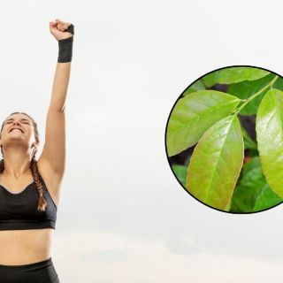 Esta es la planta poco conocida que aumenta la energía en el cuerpo