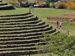 Sitio arqueológico de Los Guachimontones, uno de los más importantes en el occidente del país. EL INFORMADOR / ARCHIVO