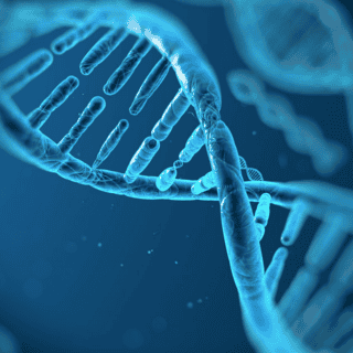 Estudio revela el aspecto que más influye en la longevidad