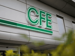 Se invitó a reducir consumos de electricidad. EFE / ARCHIVO