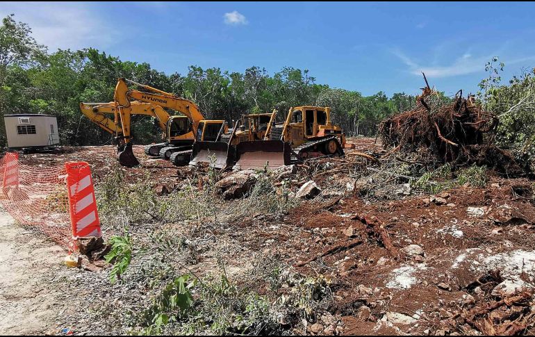 Ya se han confirmado casos activos de cáncer vinculados al uso de pesticidas de la agroindustria, sobre todo en el oriente de Yucatán. SUN / ARCHIVO