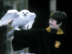 Desde su primera entrega en el 2001,  esta saga ha ganado una enorme popularidad a nivel mundial. WARNER BROS / REUTERS/ ARCHIVO