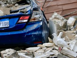 Piden implementar la resolución 1701 de la ONU para detener la agresión en el Líbano. EFE / EPA / STRINGER