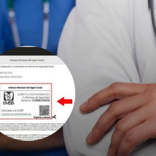 IMSS: Así puedes obtener tu Número de Seguro Social sin salir de casa