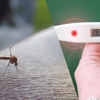 ¡Alerta! Estos son los 5 estados con más casos de dengue en el 2024