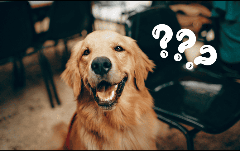 Estas creencias se han vuelto muy populares y han despertado la curiosidad de muchos. Pexels