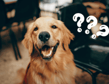 Estas creencias se han vuelto muy populares y han despertado la curiosidad de muchos. Pexels