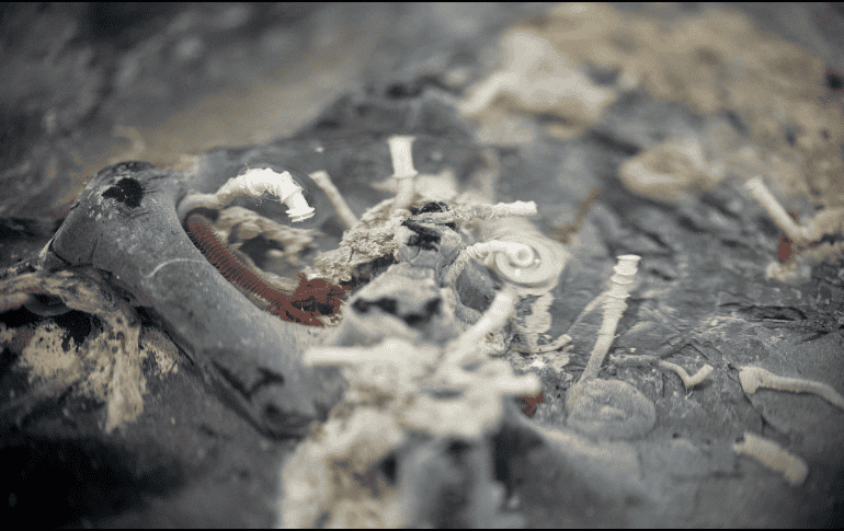 Esta foto es una muestra de una placa rocosa girada que muestra la presencia de gusanos tubulares Riftia y Oasisia, así como otros organismos. AP / ARCHIVO