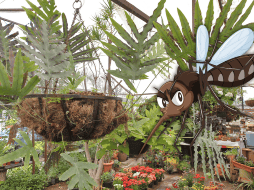 Esta planta es considerada una especie que ayuda a repeler insectos. EL INFORMADOR / ARCHIVO