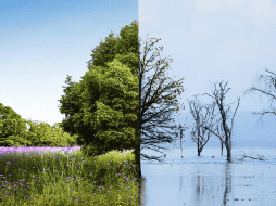 Hay tendencias que sugieren que algunas áreas del norte de Sudamérica podrían recibir más lluvias de lo normal. FREEPIK