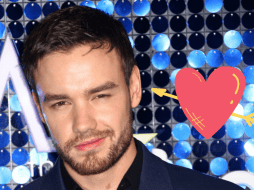 Poco antes de su trágico fallecimiento, se supo que Maya había denunciado a Liam por 