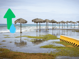 Se propusieron varias opciones para mejorar la futura gestión del problema. Pexels