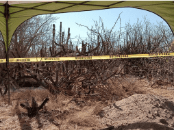 Este nuevo hallazgo es resultado de los trabajos que iniciaron desde finales de septiembre en esta zona. ESPECIAL