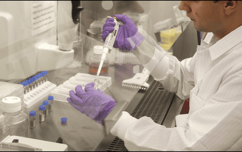 Efectos en la salud derivado de los microplásticos. EFE/ARCHIVO