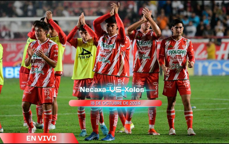 Después de algunos torneos decentes, este Apertura 2024 no ha resultado sencillo para Necaxa. IMAGO7